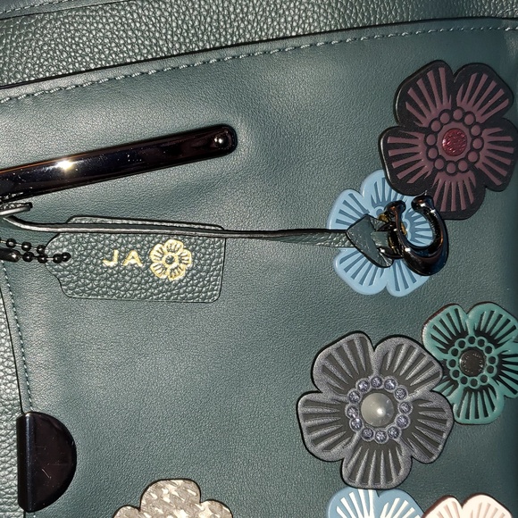 Coach Dreamer 36 Customized - Picture 11 of 12